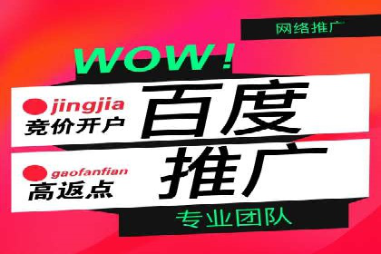 百度推广优化实战技巧与案例解析